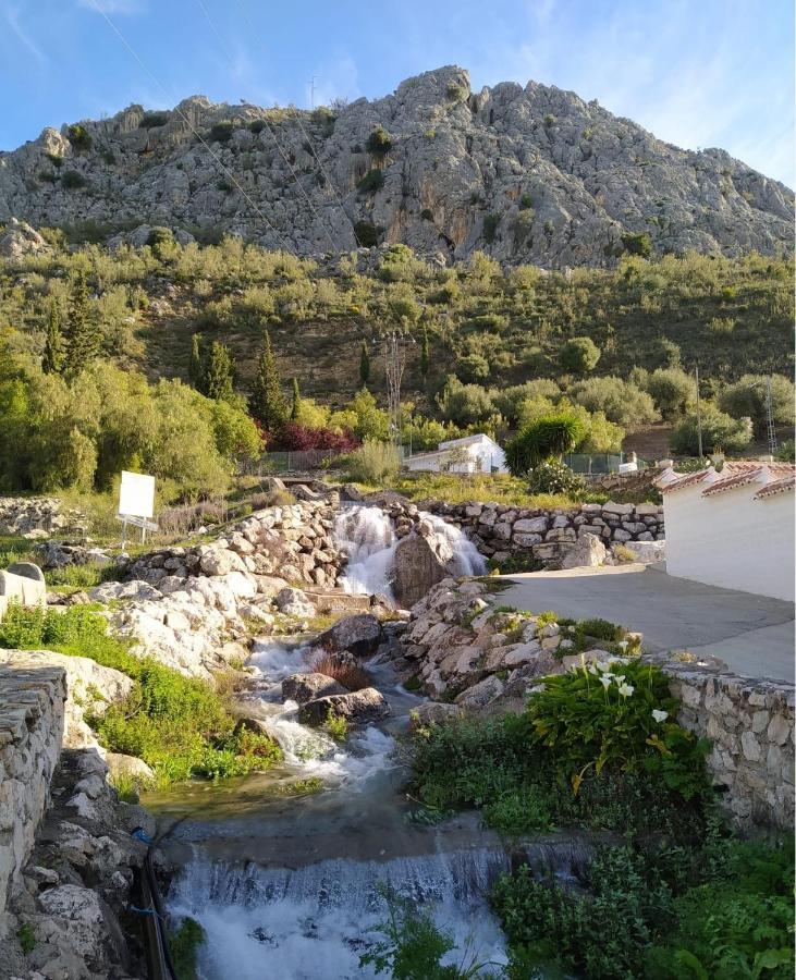 Casa De Los Alamos Periana Екстериор снимка