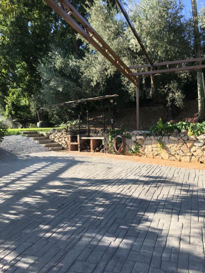 Casa De Los Alamos Periana Екстериор снимка