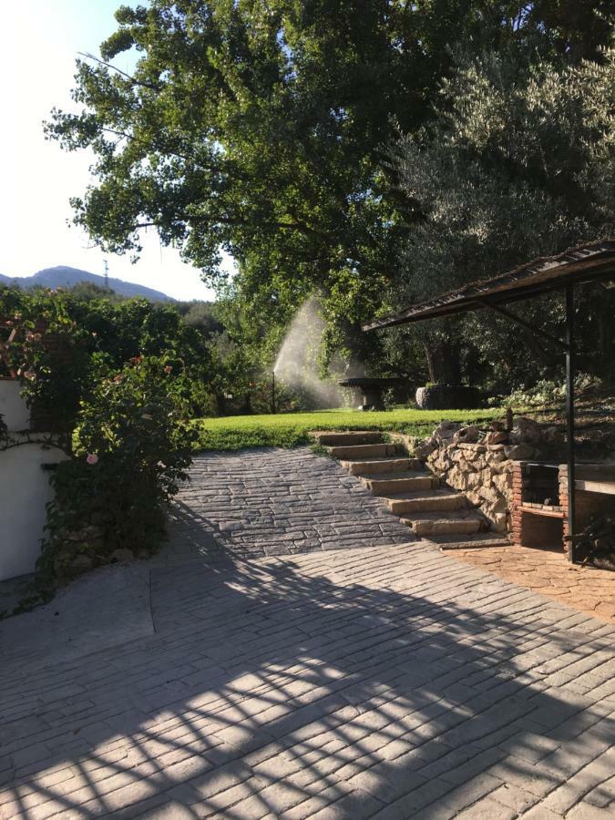 Casa De Los Alamos Periana Екстериор снимка