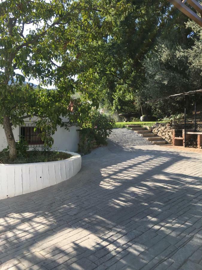 Casa De Los Alamos Periana Екстериор снимка